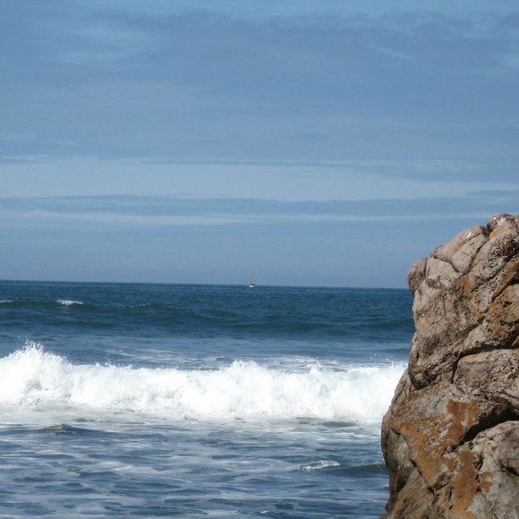 Meet your Posher, Sheree - Picture 2 of 9